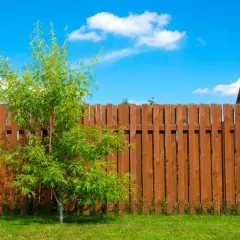 Płot drewniany DIY: Czy budowa w 2026 się opłaca? Poradnik