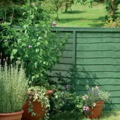 Czym pomalować płot? Sekrety trwałej ochrony i koloru.