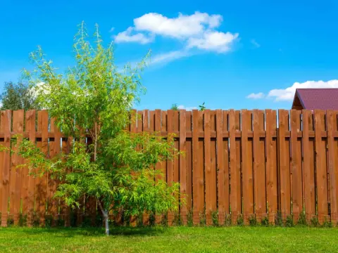 Płot drewniany DIY: Czy budowa w 2026 się opłaca? Poradnik