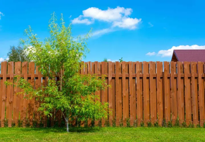 Płot drewniany DIY: Czy budowa w 2026 się opłaca? Poradnik
