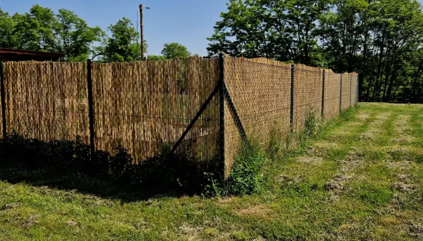 Płot z siatki: Prywatność i styl. Jak skutecznie zasłonić?
