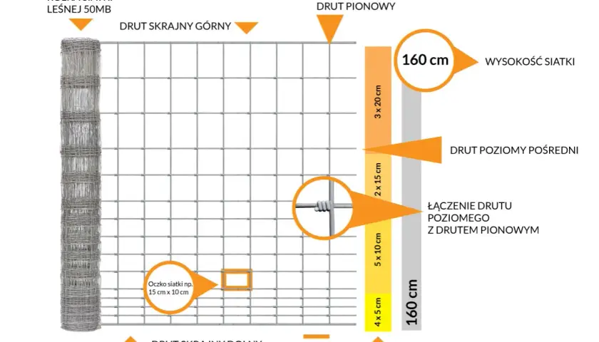 Płot na sarny: Jaka wysokość zapewni 100% ochronę ogrodu?