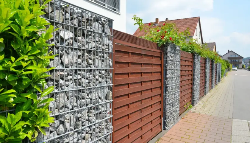 Alternatywy dla płotu: Zielona ściana czy gabion? Wybierz mądrze!