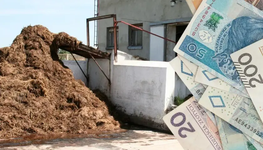 Robocizna zbrojenia 2026: cena za kg i jak ją obniżyć