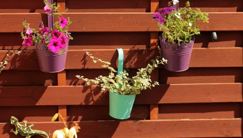 Jak ozdobić płot w ogrodzie? Pomysły, które odmienią przestrzeń