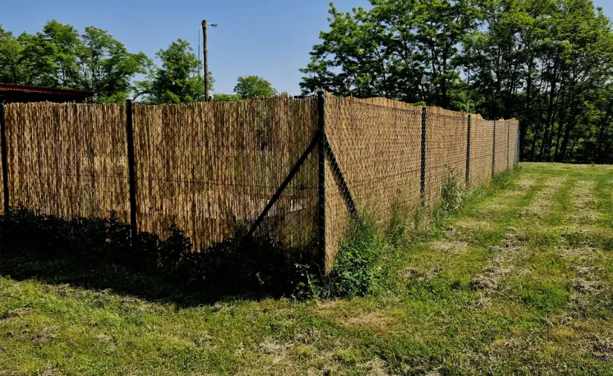 Płot z siatki: Prywatność i styl. Jak skutecznie zasłonić?