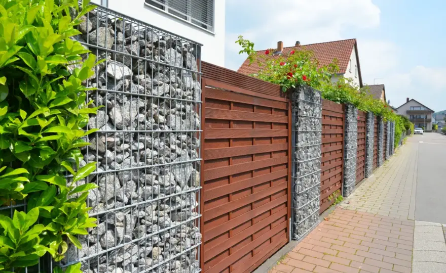 Alternatywy dla płotu: Zielona ściana czy gabion? Wybierz mądrze!