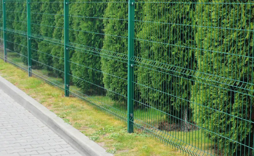 Jak obsadzić płot z siatki? Zmień go w zieloną oazę! Poradnik