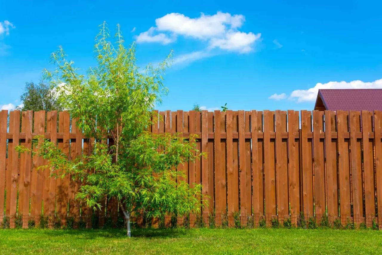 Płot drewniany DIY: Czy budowa w 2026 się opłaca? Poradnik